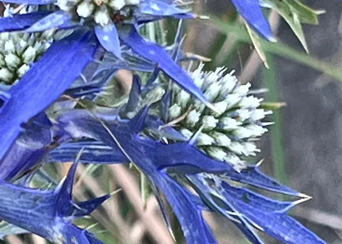 Just Appartement Vantacici